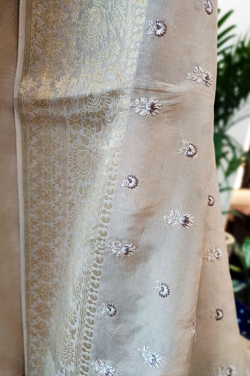 Beige Chinon Chiffon Saree With Embroidery and Zari Pallu