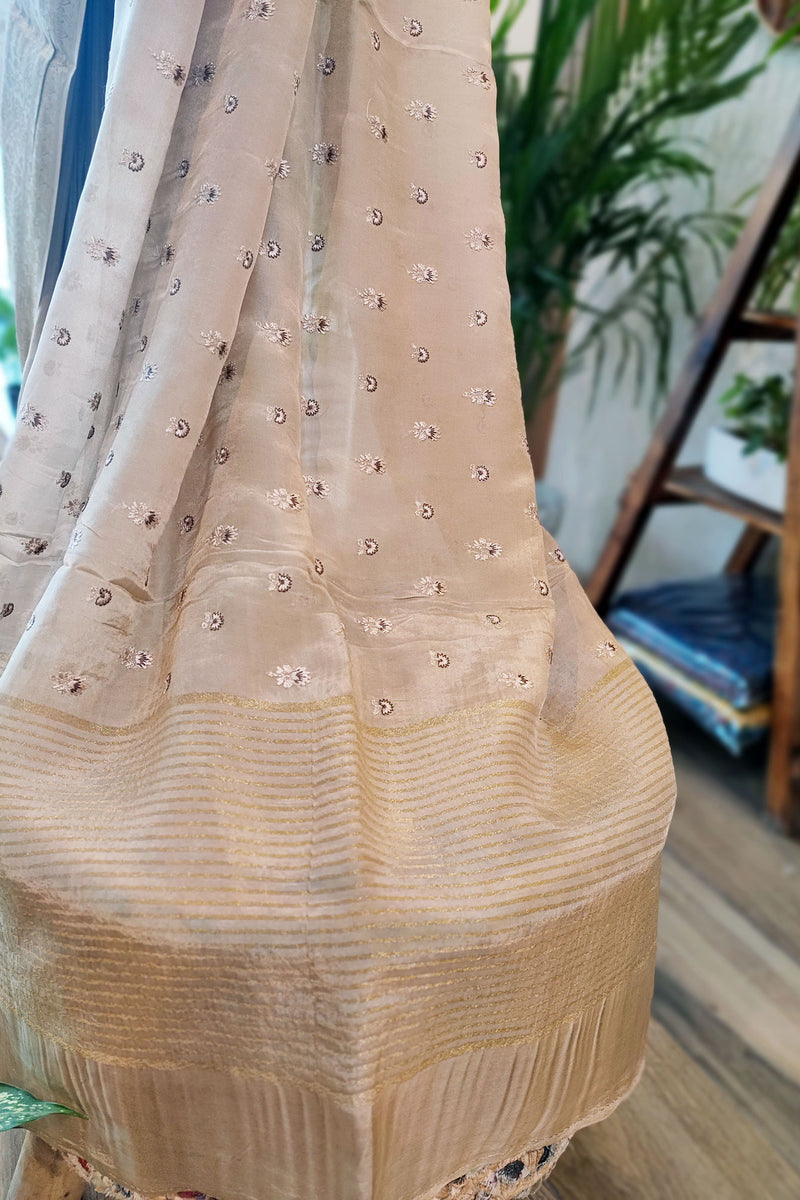 Beige Chinon Chiffon Saree With Embroidery and Zari Pallu