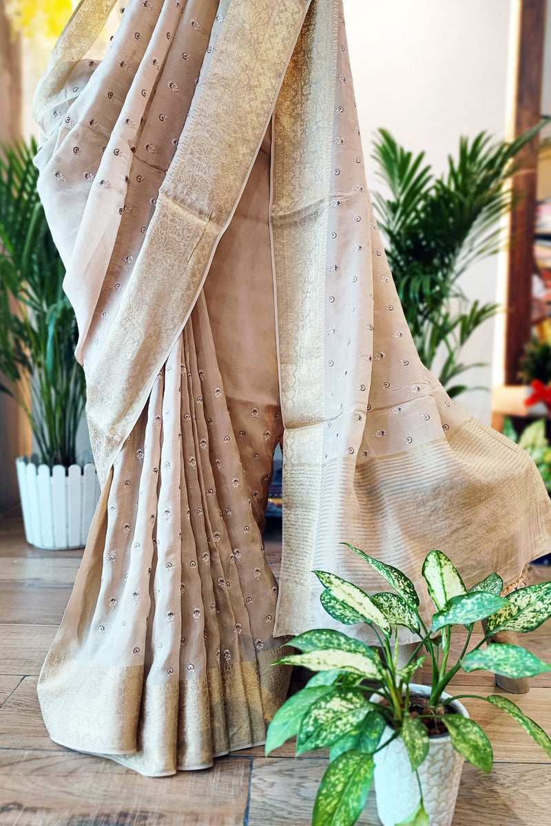Beige Chinon Chiffon Saree With Embroidery and Zari Pallu