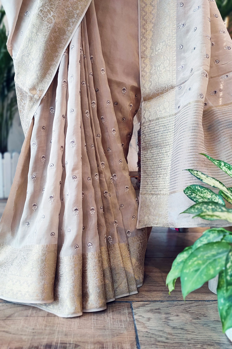 Beige Chinon Chiffon Saree With Embroidery and Zari Pallu