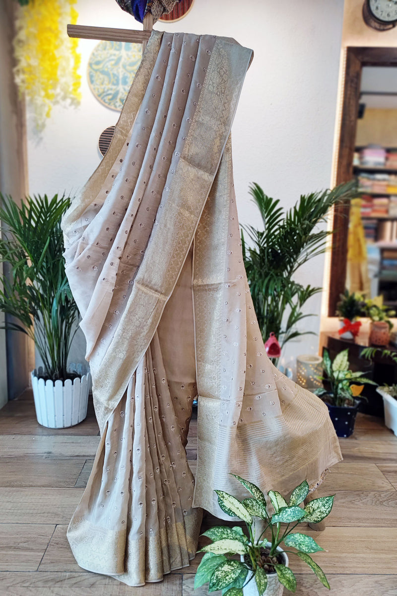Beige Chinon Chiffon Saree With Embroidery and Zari Pallu