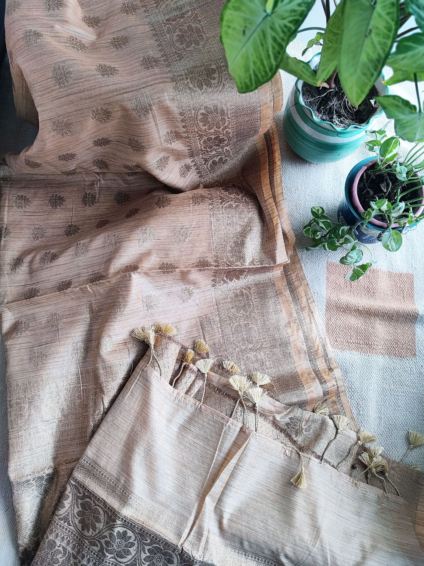 British Tan Handloom Baswada Silk Saree