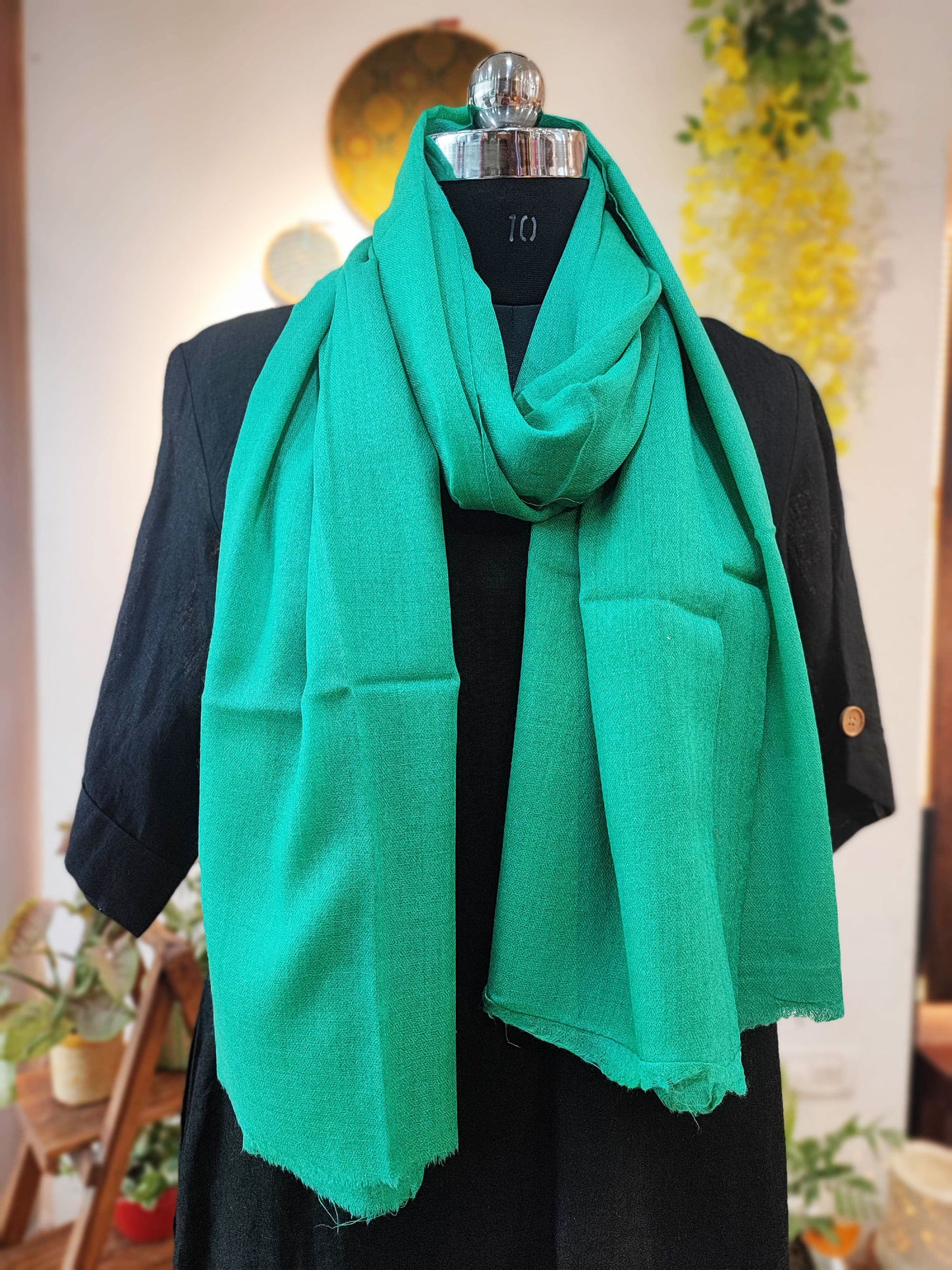 Caribbean Green Plain Fine Wool Pashmina Stole