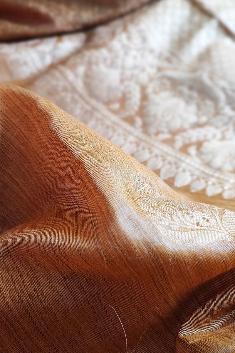 Biscotti Handloom Silk Saree with Zari Work and Border