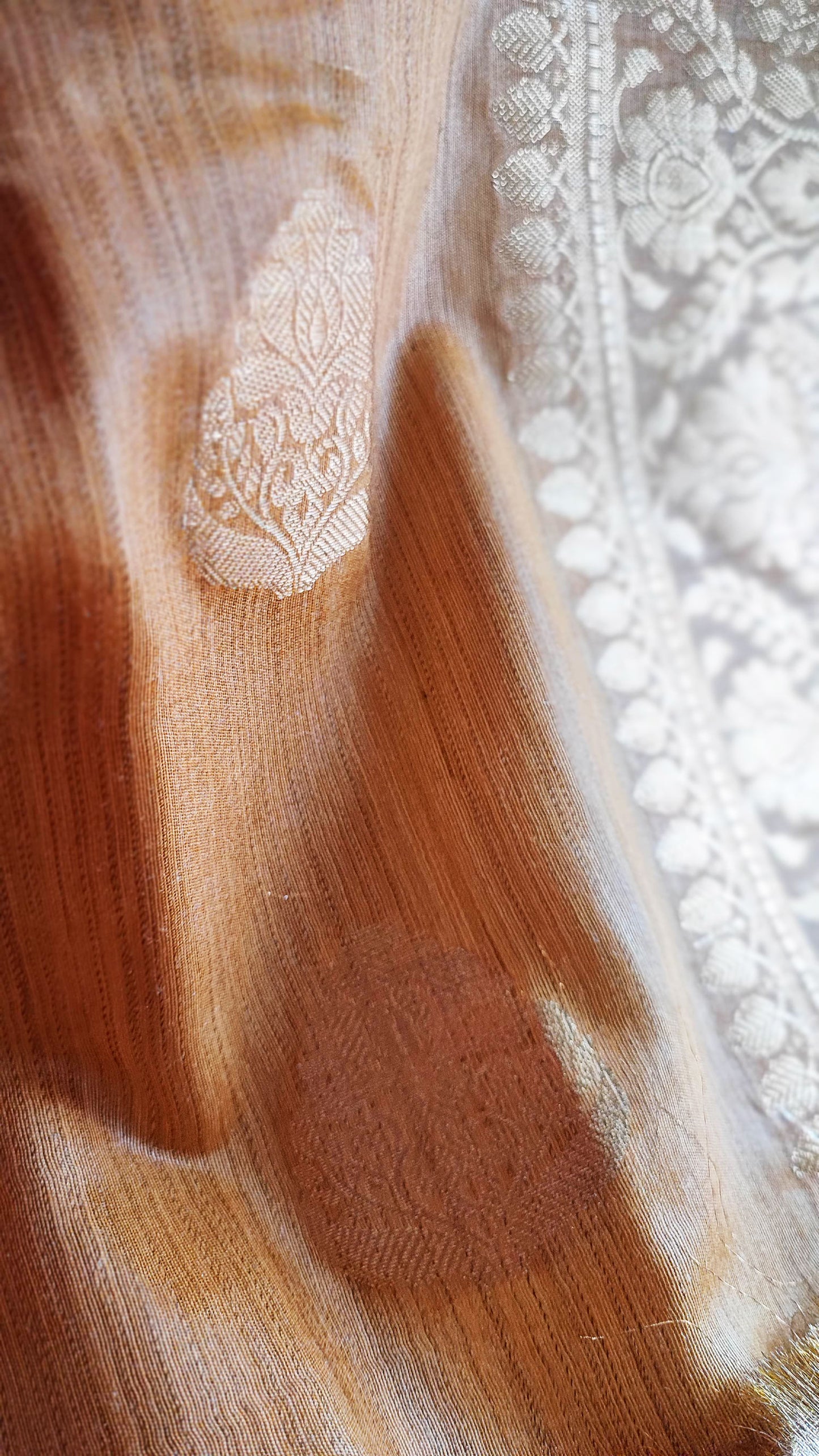 Biscotti Handloom Silk Saree with Zari Work and Border