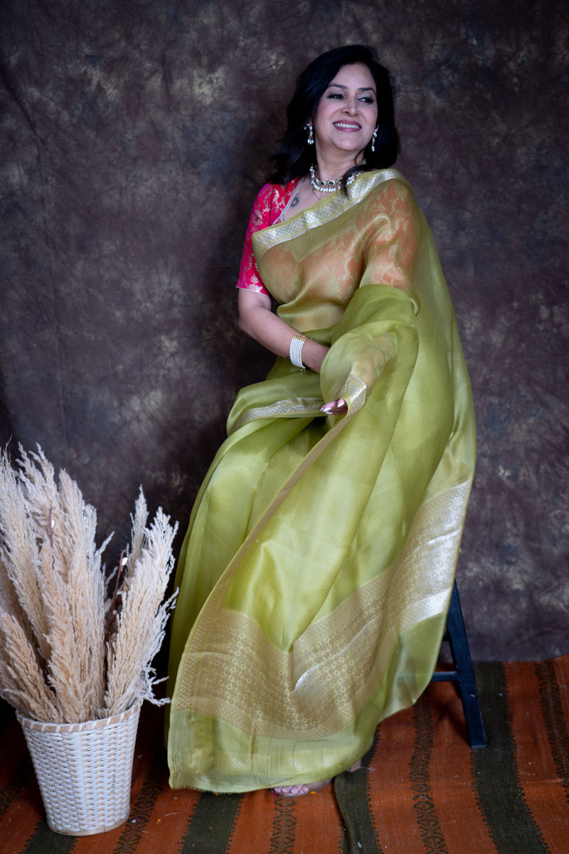 Pista Green Pure Kora Organza Banarasi Silk Saree