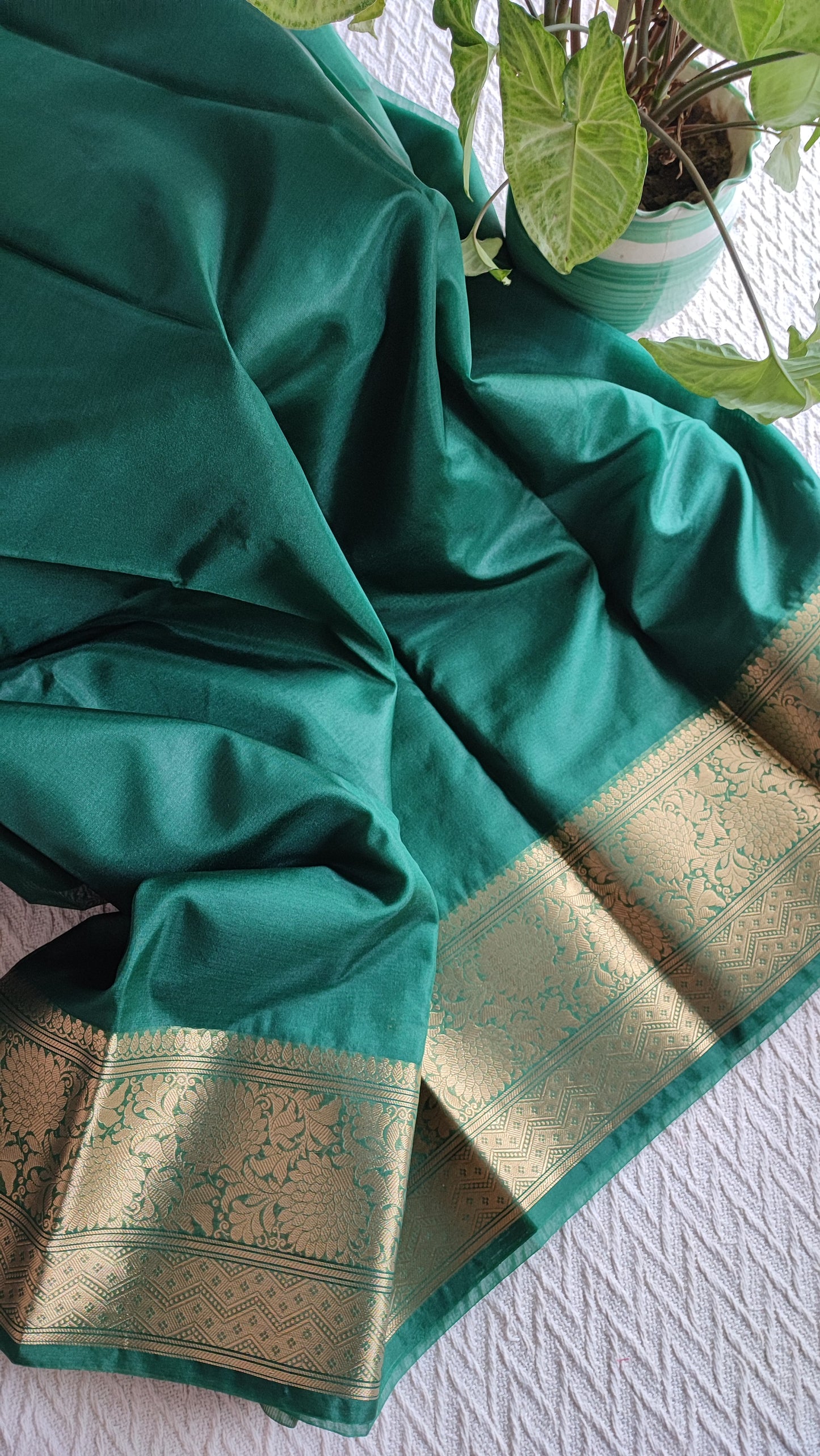 Emerald green Semi Organza Saree With Zari Border